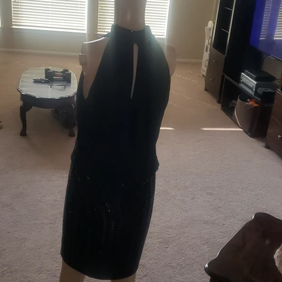 Cache 2 beaded mockneck & skirt flowy upper keyhole back - Picture 5 of 11